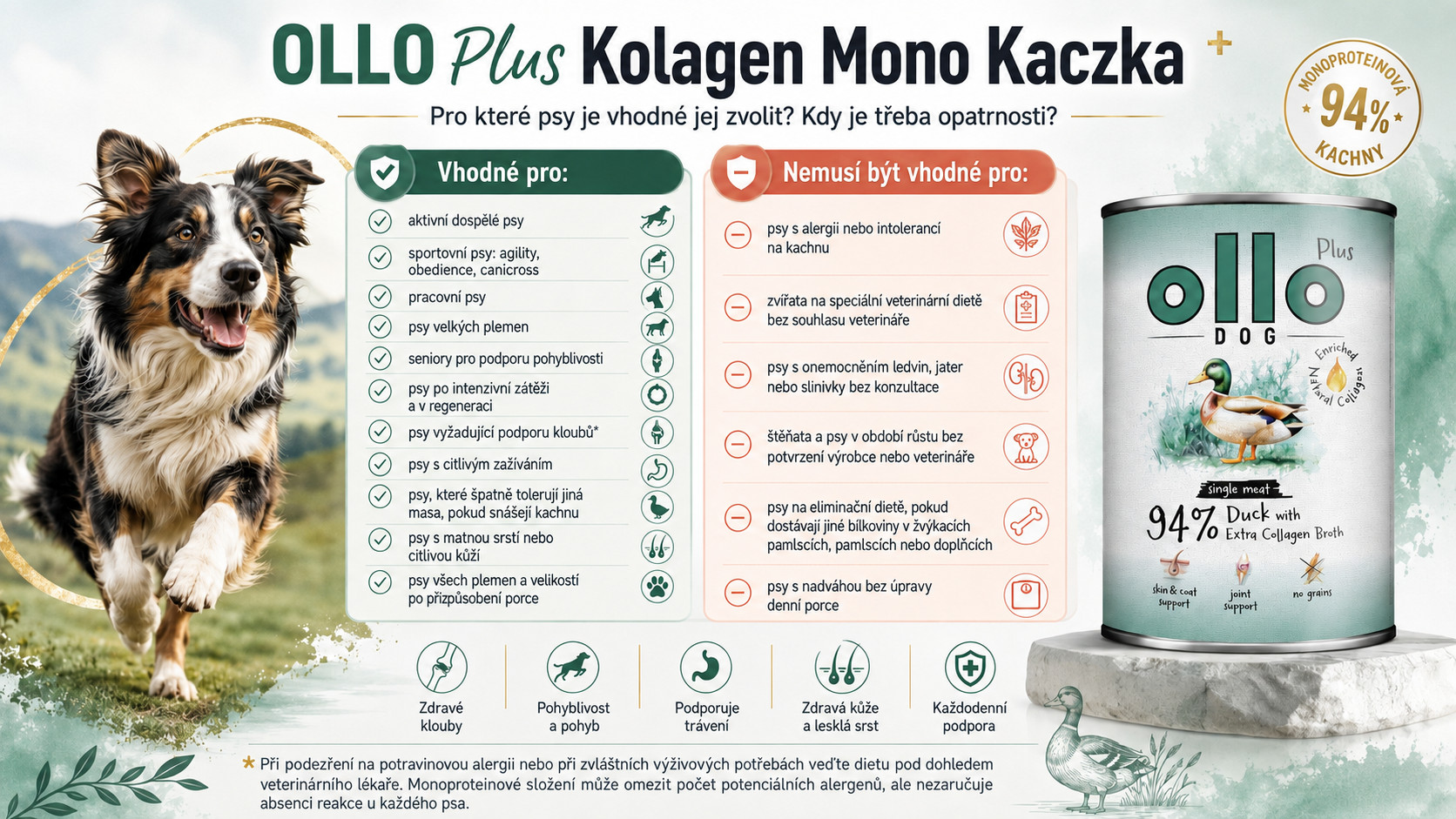 OLLO Plus Collagen Mono Duck - vlhké krmivo pro psy - 800g - foto 5