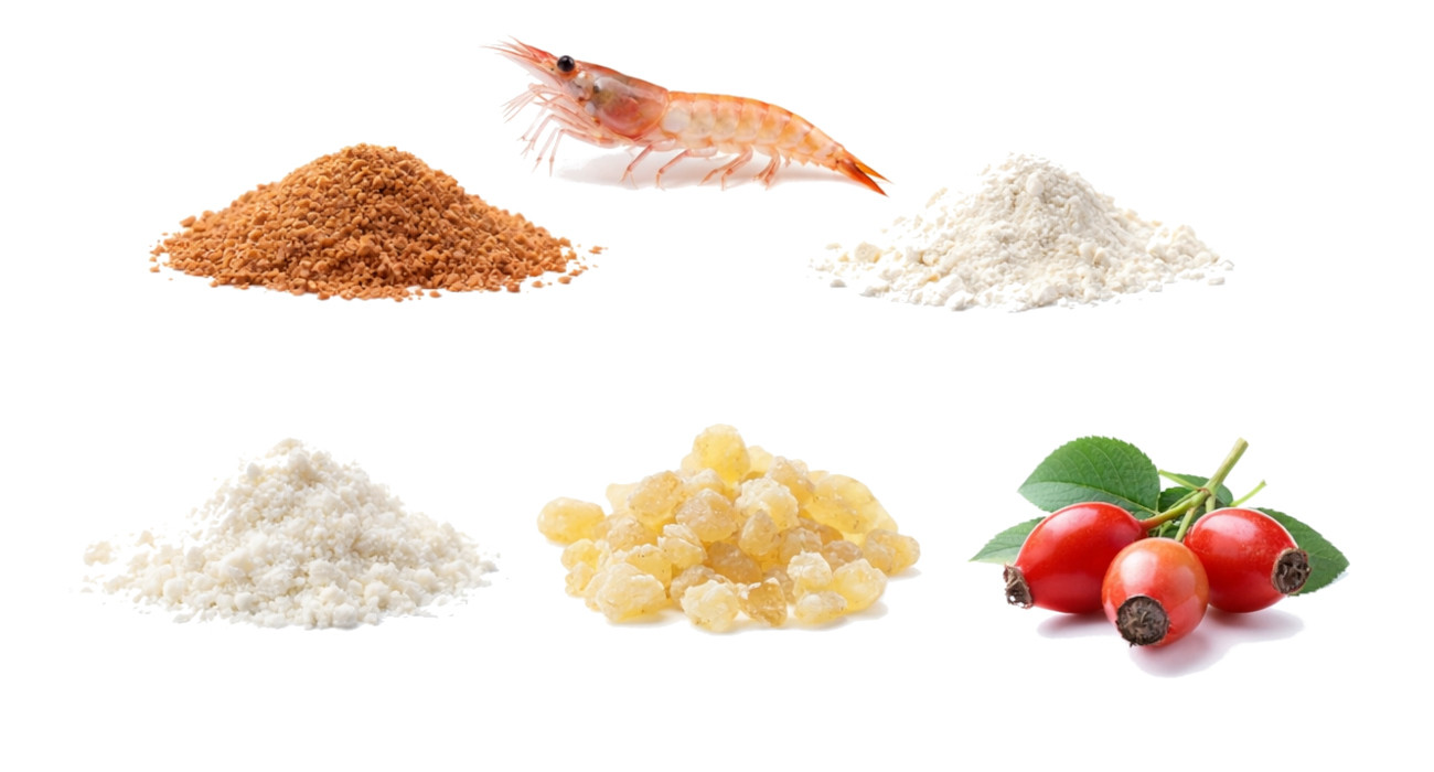 POKUSA ChondroCare Complex - doplňky stravy pro psy - 120 ks - foto 2