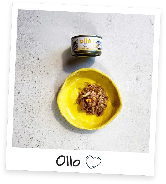 OLLO Cat nr 10 Tuna & Cheese in broth - mokré krmivo pro kočky - 70g - foto 4