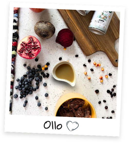 OLLO Plus Collagen Mono Duck - vlhké krmivo pro psy - 400g - foto 2