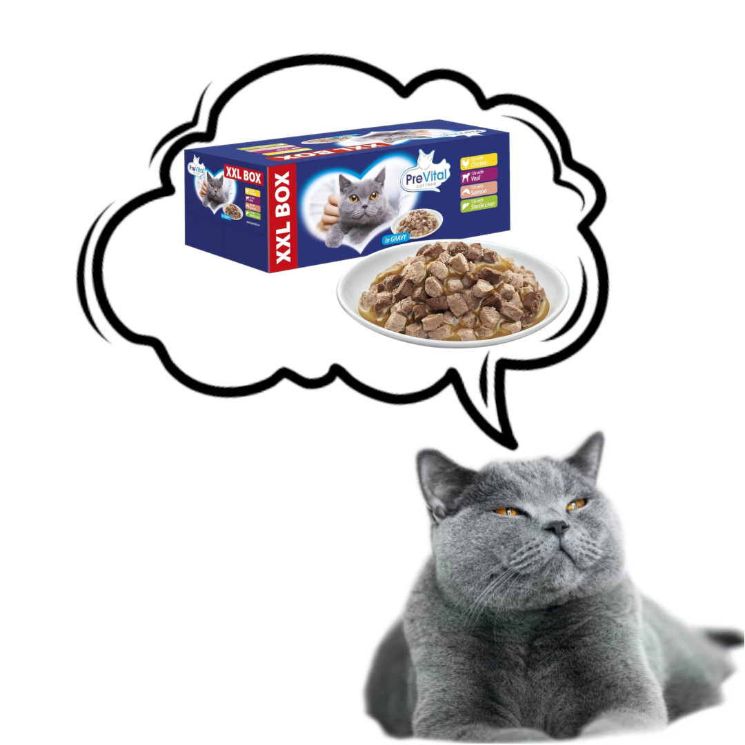 PREVITAL XXL BOX Mix chutí s kuřetem, telecím, lososem a játry v omáčce - mokré krmivo pro kočky - 48 x 100g - foto 2
