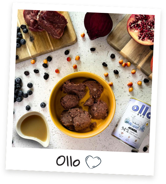 OLLO Plus Collagen Mono Lamb - vlhké krmivo pro psy - 400g - foto 2