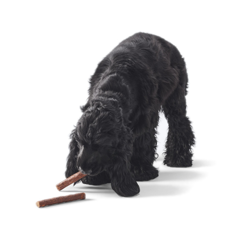 JOHN DOG Boar sticks - pochoutka pro psy - 50 g - foto 3