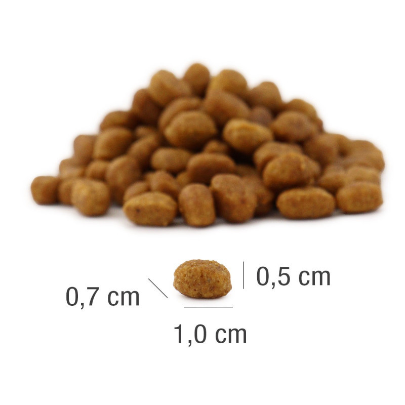 PLATINUM MeatCrisp Adult Chicken - suché krmivo pro kočky - 1,5kg - foto 2