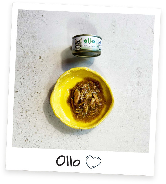 OLLO Cat nr 8 Tuna & Seaweed in broth - mokré krmivo pro kočky - 70g - foto 4