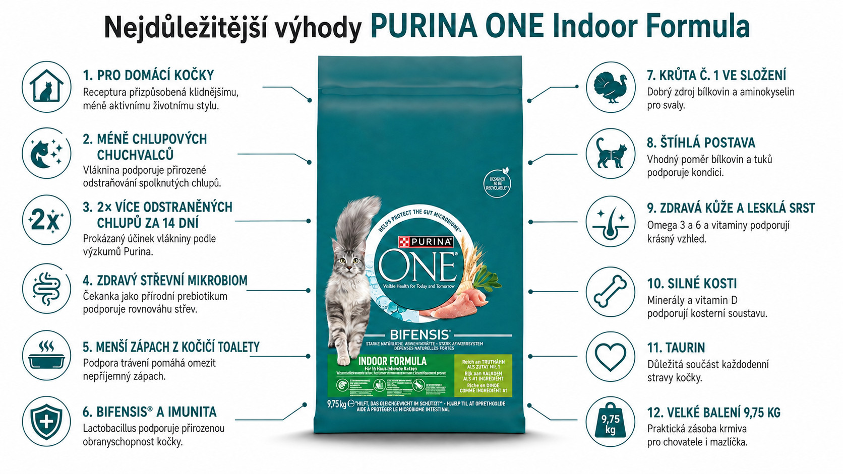 PURINA One Indoor Formula - suché krmivo pro kočky - 9,75kg - foto 1