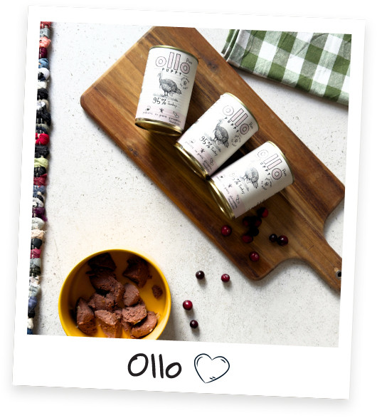 OLLO Puppy Pure Krůtí Mono - mokré krmivo pro psy - 850 g - foto 4