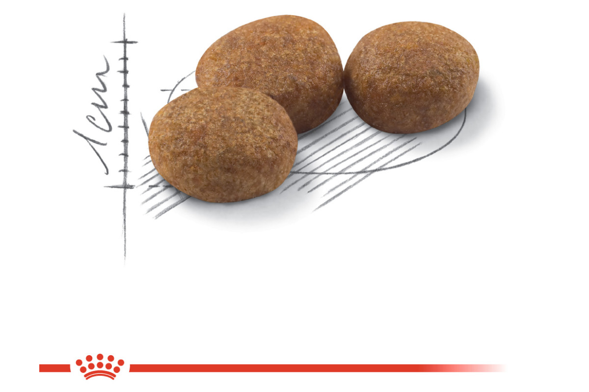 ROYAL CANIN Sterilised - suché krmivo pro kočky - 4 kg - foto 3