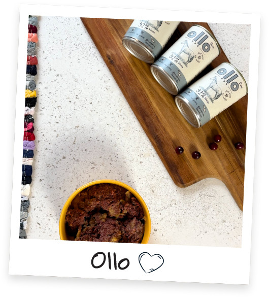 OLLO Pure Kůň Mono - mokré krmivo pro psy - 850g - foto 4