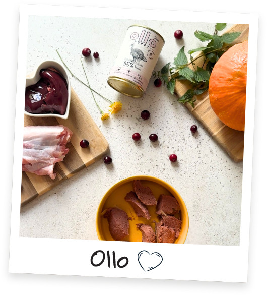 OLLO Puppy Pure Krůtí Mono - mokré krmivo pro psy - 850 g - foto 2