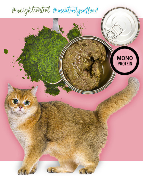 3COTY Turkey with chlorella Sterilised and overweight cats - mokré krmivo pro kočky - 12x80g - foto 5