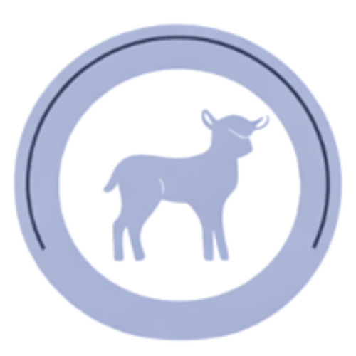 ADDVENA Power of nature Senior Small breed Mono Lamb - suché krmivo pro psy - 10kg - foto 4