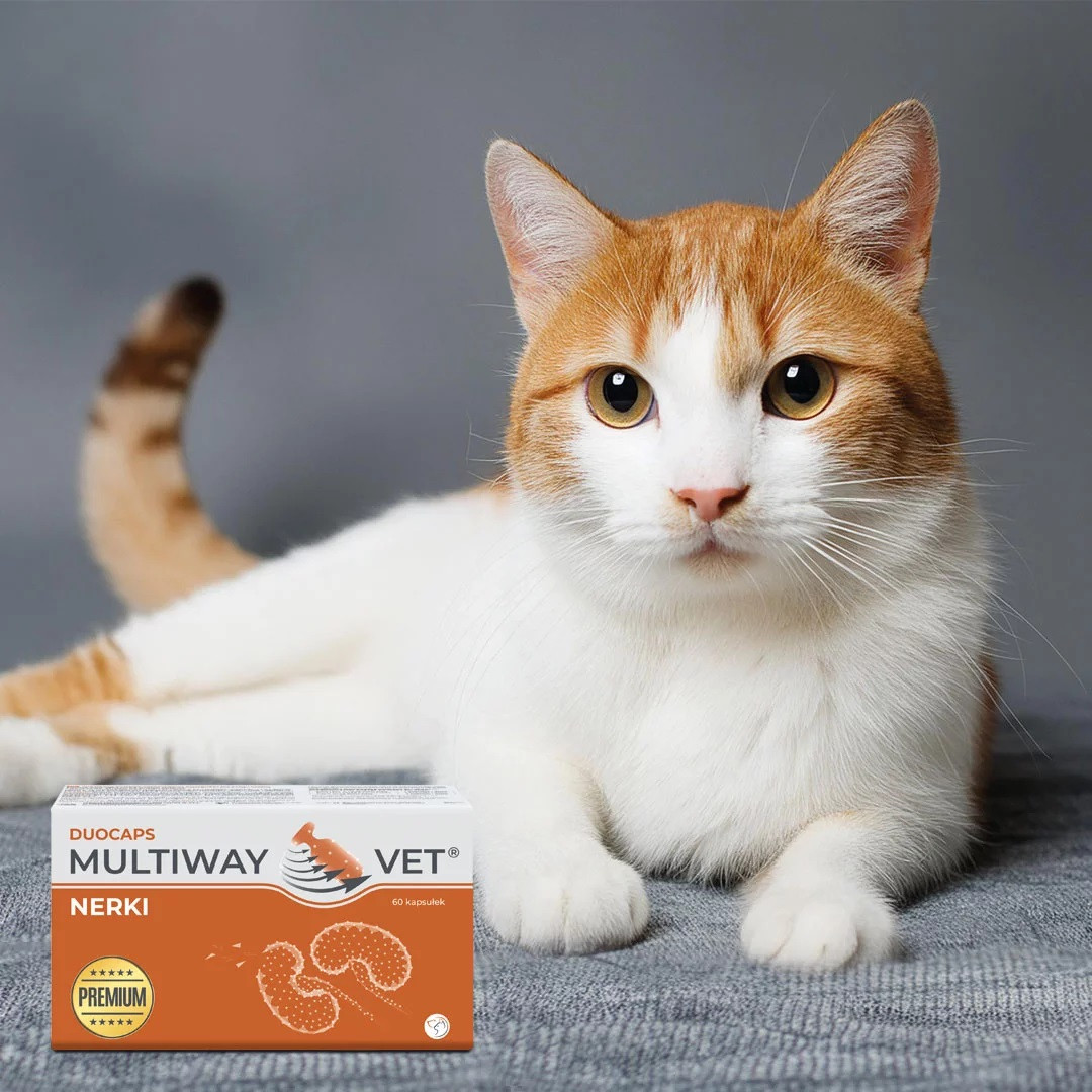 JM SANTE Multiway Vet Duocaps Kidneys - twist-off kapsle na ledviny pro psy a kočky – 60 ks - foto 2