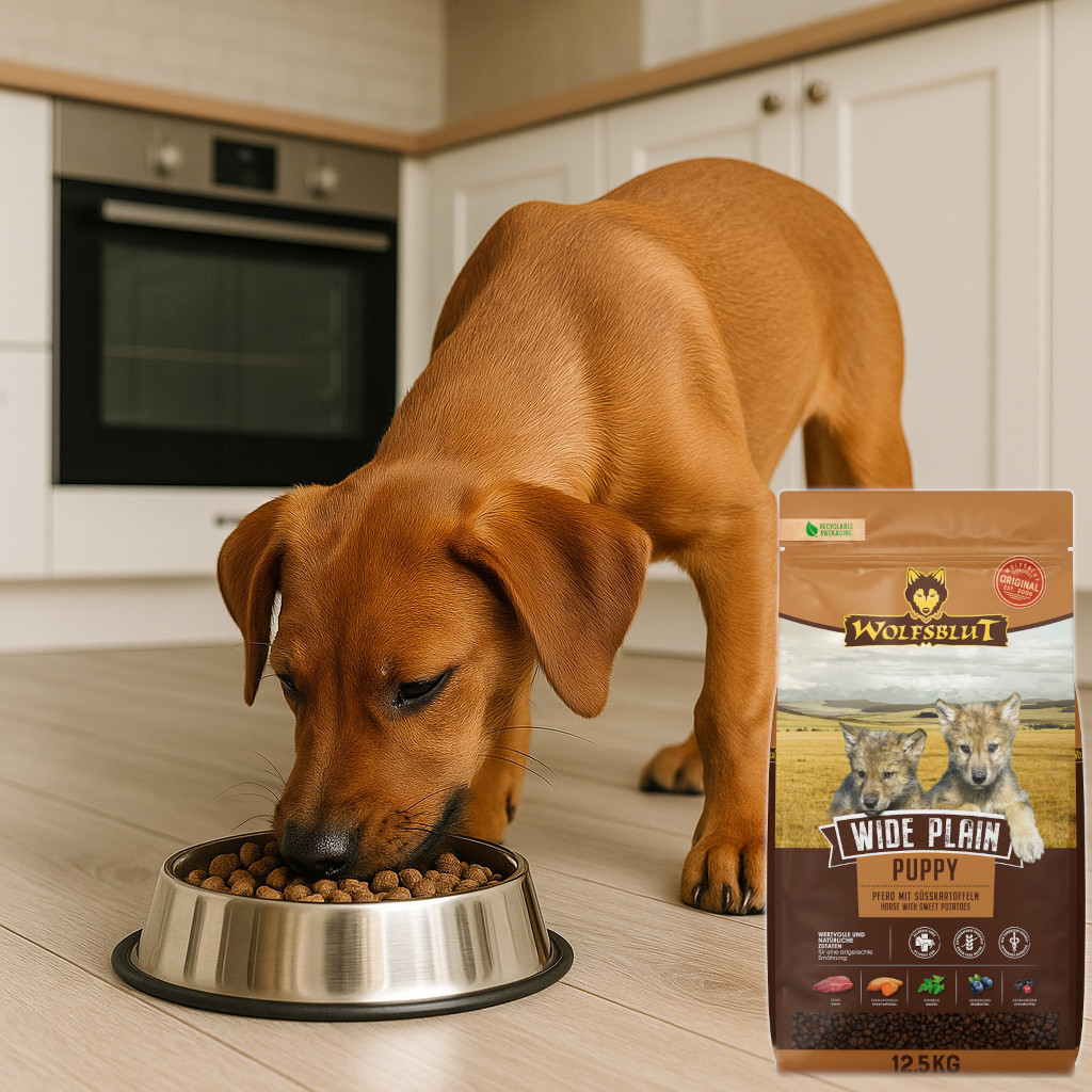 WOLFSBLUT Wide Plain Puppy Horse with sweet potatoes - suché krmivo pro psy - 12,5kg - foto 3