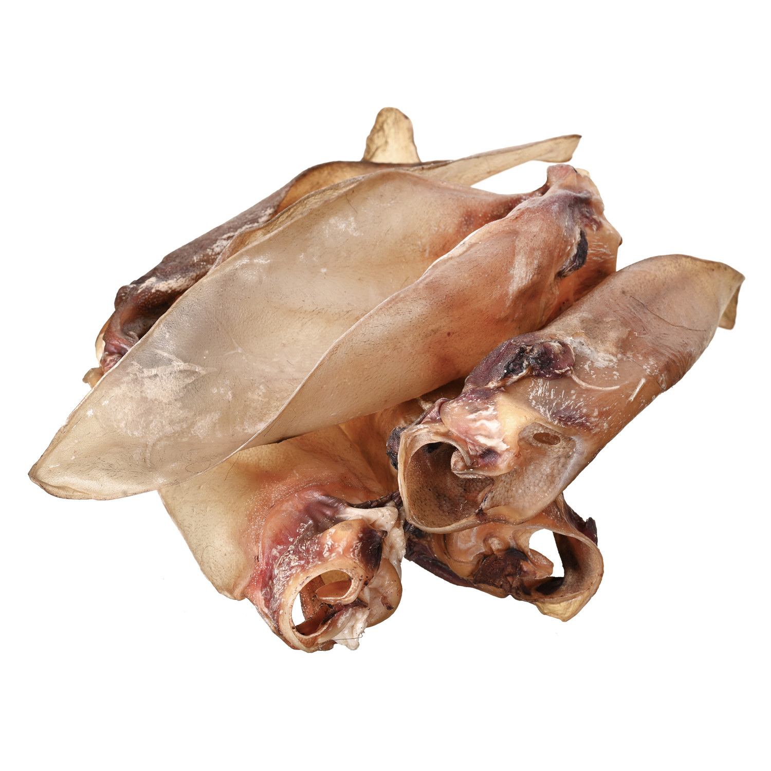 PETITTO Beef ear with cartilage - pamlsek pro psa - 10 - foto 1