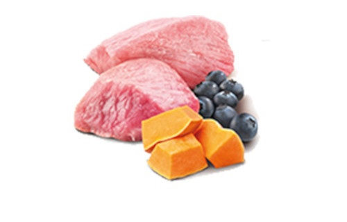 FARMINA N&D Pumpkin Lamb, Pumpkin & Blueberry - vlhké krmivo pro kočky - 70 g - foto 3
