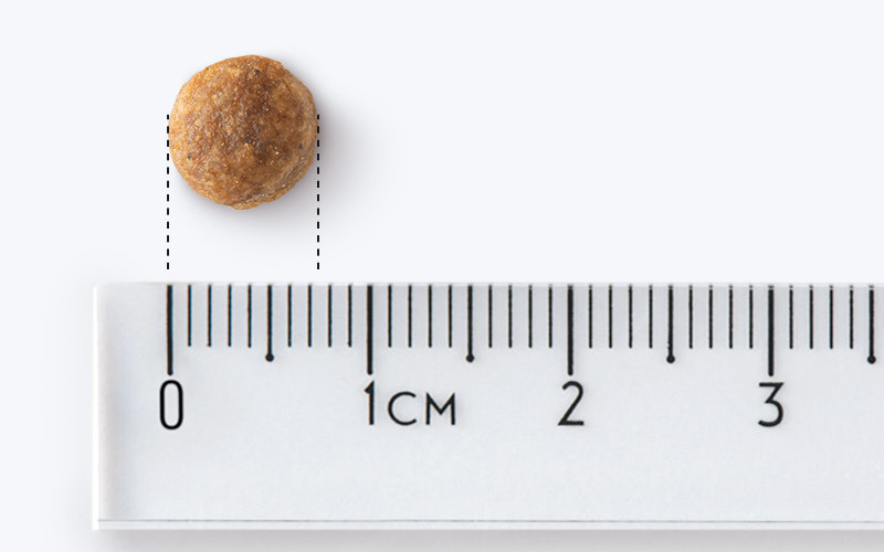 JOHN DOG Good Form Adult Mini Veal with lamb - suché krmivo pro psy - 12 kg - foto 3