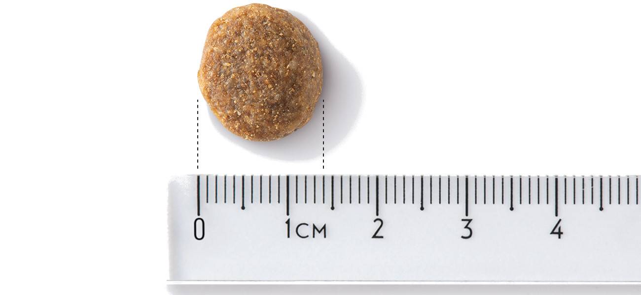 JOHN DOG Good Form Adult Medium and large breeds Veal with lamb - suché krmivo pro psy - 12 kg - foto 3