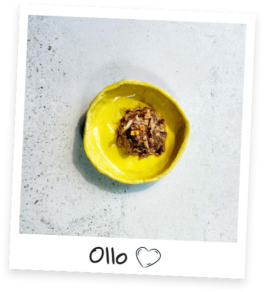 OLLO Cat nr 10 Tuna & Cheese in broth - mokré krmivo pro kočky - 70g - foto 3