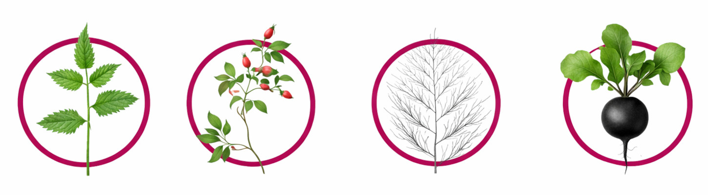 CHAMPER Coat & Skin Monoprotein Beef - vlhké krmivo pro psy - 400g - foto 1