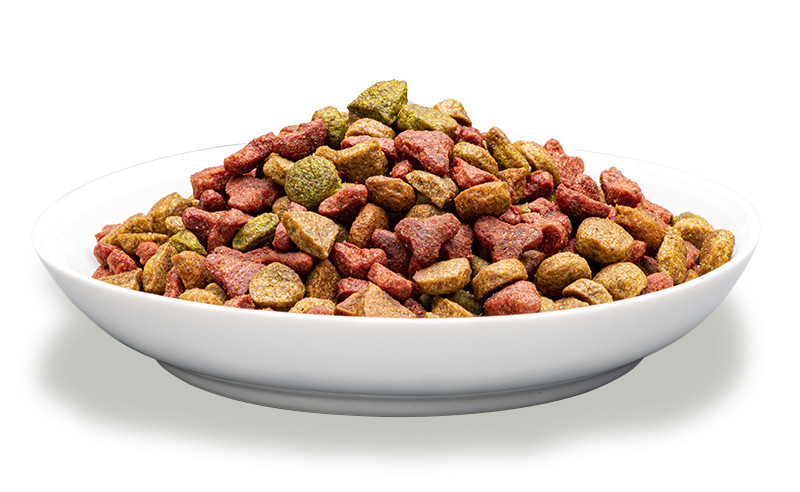 PREVITAL Cat Food Adult s kuřecím - suché krmivo pro kočky - 1,4 kg - foto 6