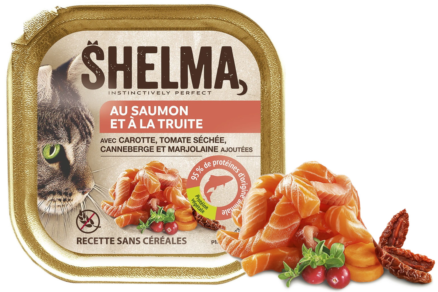 SHELMA Salmon and trout pate - mokré krmivo pro kočky - 24x100g - foto 3