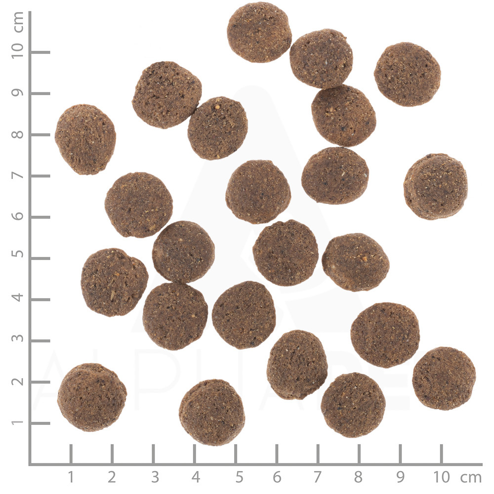 WOLFSBLUT VetLine Hypoallergenic Horse - suché krmivo pro psy - 12kg - foto 4