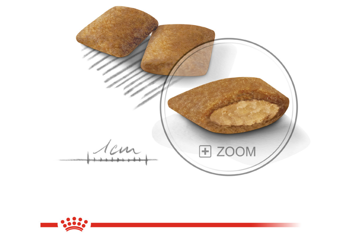 Royal Canin CCN MINI EXIGENT - suché krmivo pro dospělé psy - 3kg - foto 2