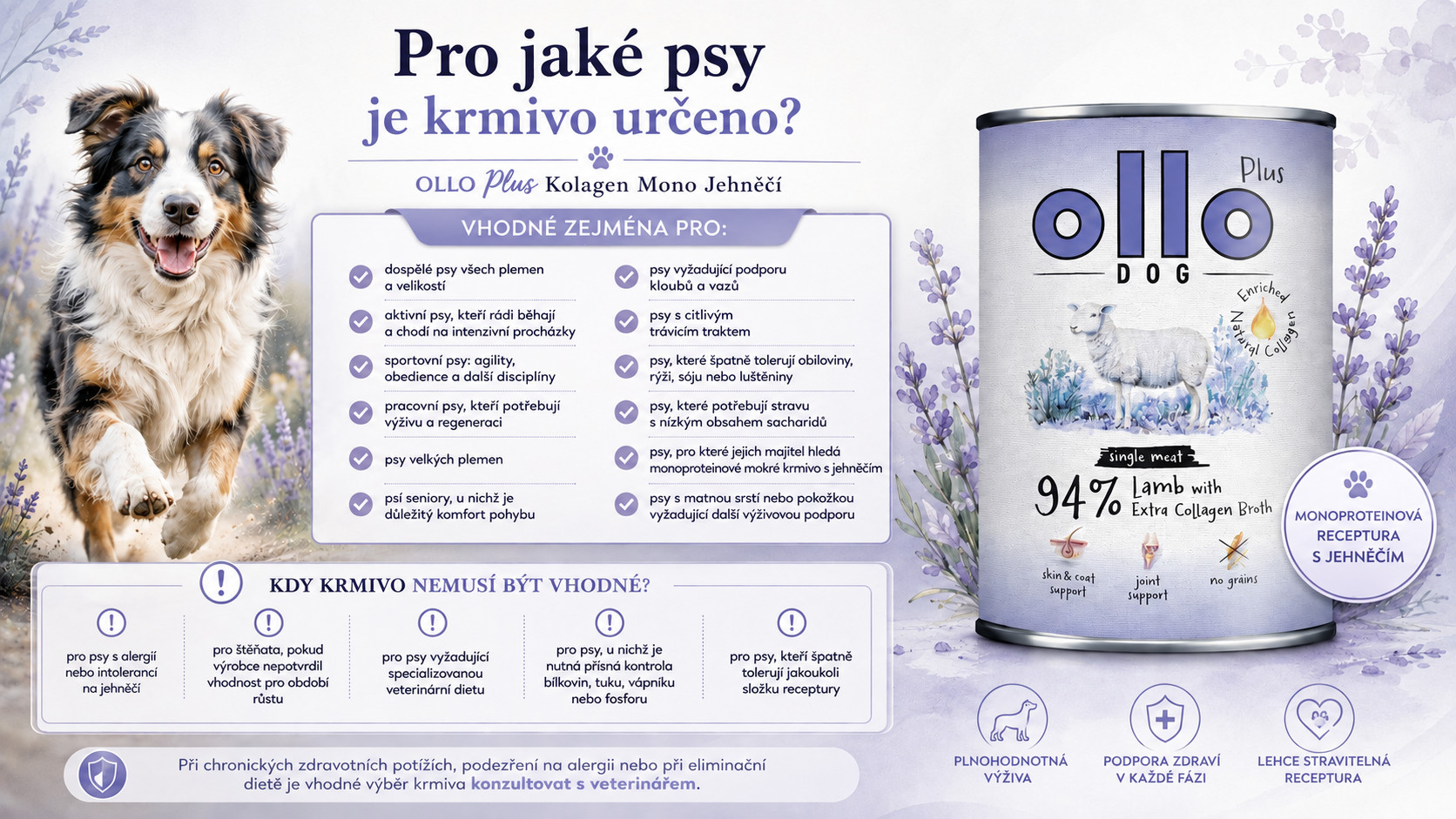 OLLO Plus Collagen Mono Lamb - vlhké krmivo pro psy - 800g - foto 5