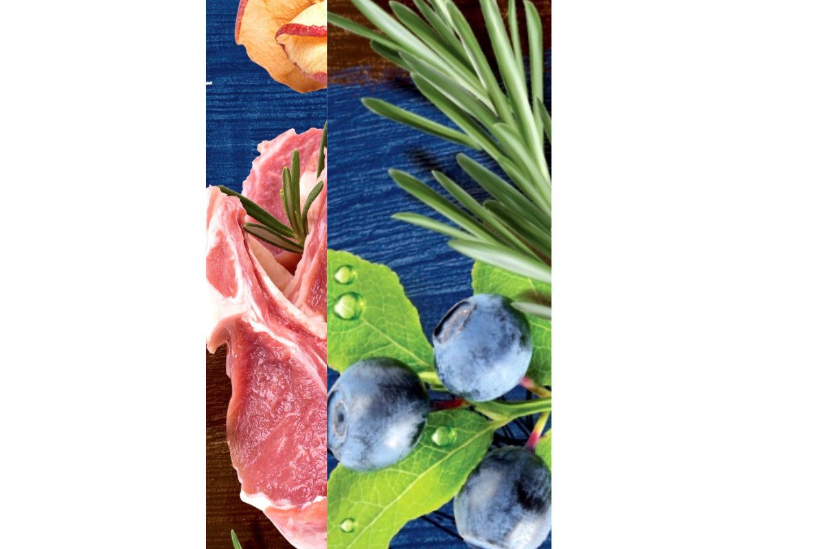 BRIT Premium by Nature Sensitive Lamb and rice - suché krmivo pro psy - 15kg + 3kg - foto 2