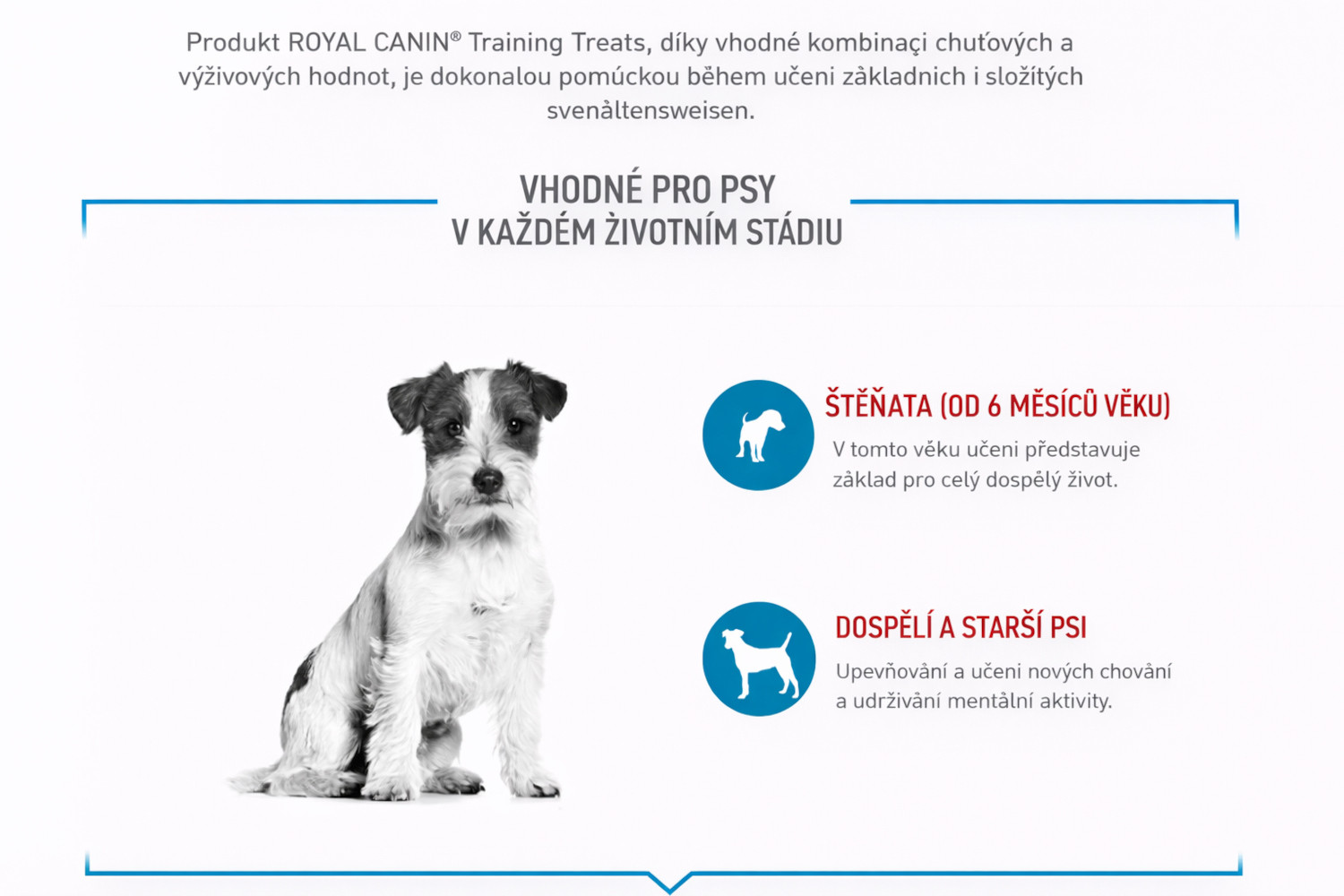 ROYAL CANIN Training Treats – pochoutka pro psy usnadňující proces výcviku - 110 g - foto 4