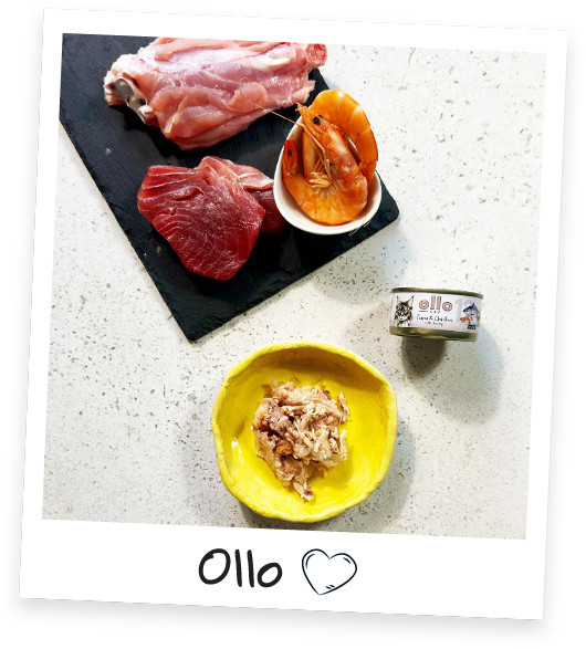 OLLO Cat nr 12 Tuna & Chicken with shrimp in jelly - mokré krmivo pro kočky - 70g - foto 2