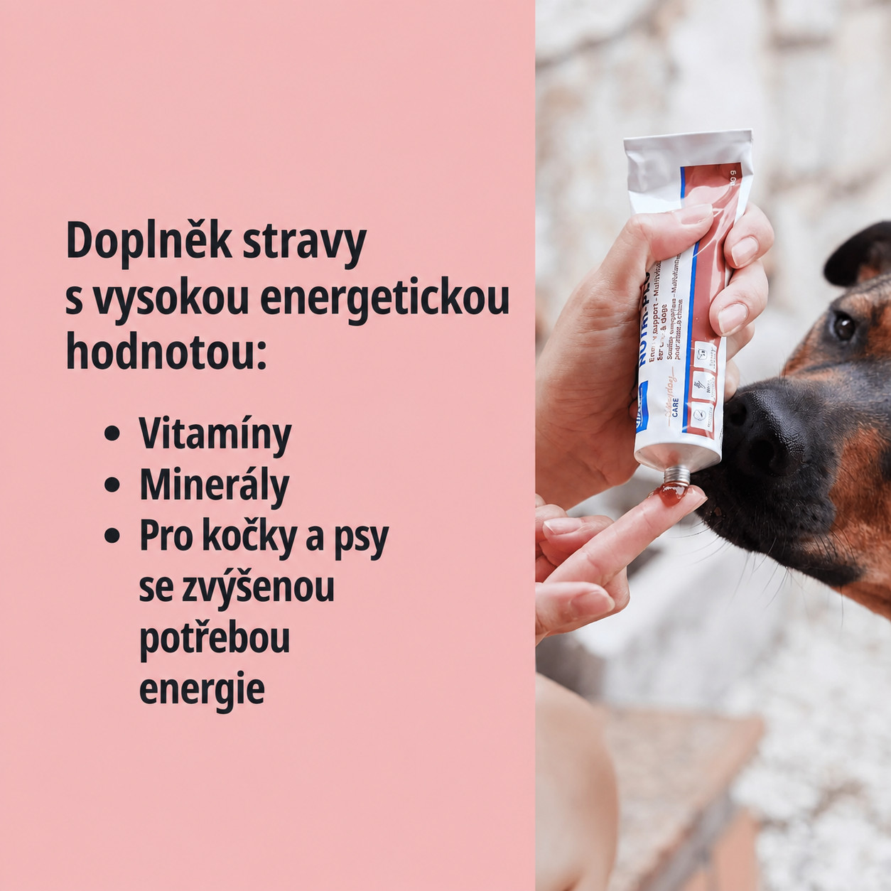 VIRBAC Nutri-Plus Gel - doplněk stravy pro psy a kočky - 120g - foto 2