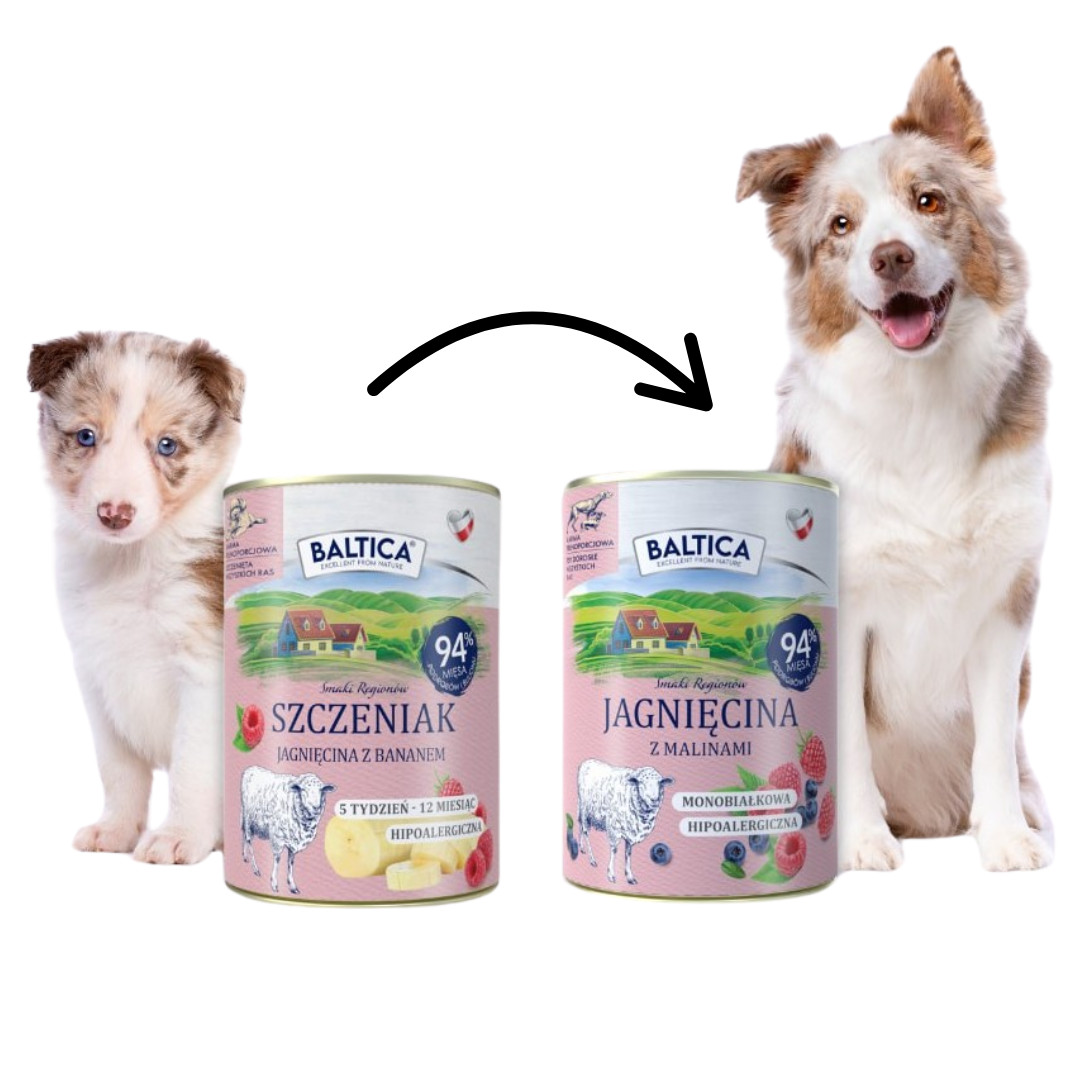 BALTICA Smaki regionów Puppy Mono Lamb with banana - vlhké krmivo pro psy - 400g - foto 2
