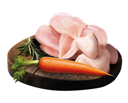 BIOFEED Tasty Dogs Life Poultry - vlhké krmivo pro psy - 500g - foto 3