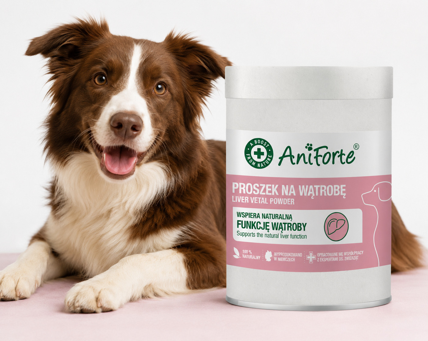 ANIFORTE Liver vetal powder - doplňky stravy pro psy - 100g - foto 3