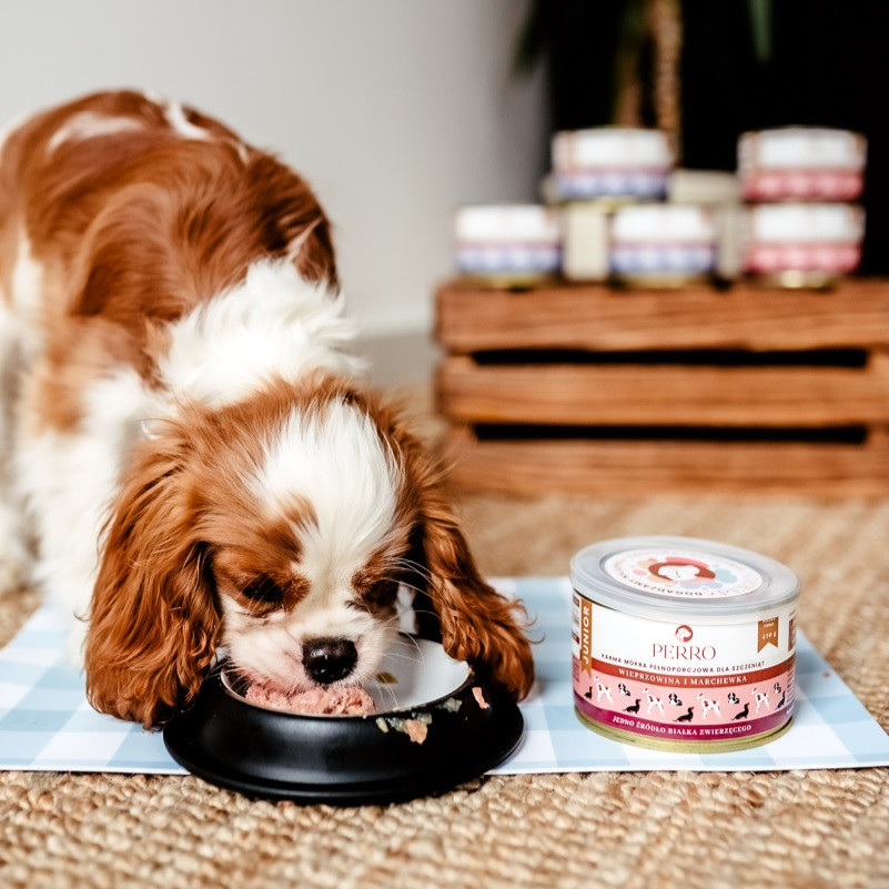 PERRO Junior Pork with carrot - mokré krmivo pro psy - 850g - foto 3