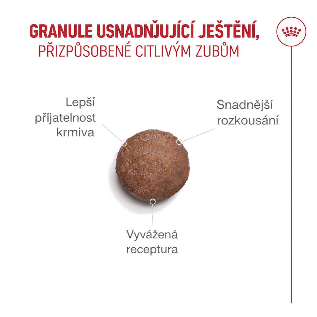 ROYAL CANIN Ageing 11+ - suché krmivo pro kočky - 2kg - foto 5
