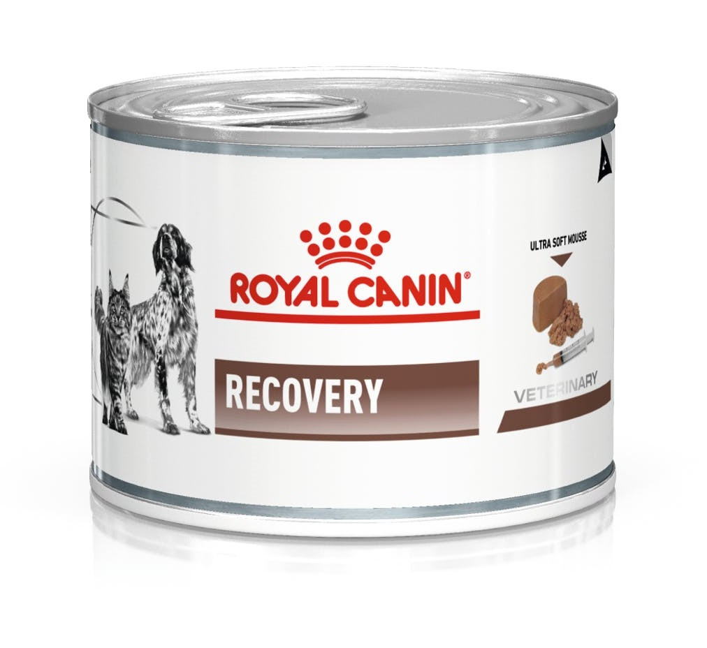 ROYAL CANIN Recovery - Mokré krmivo pro psy a kočky - 195g - foto 1