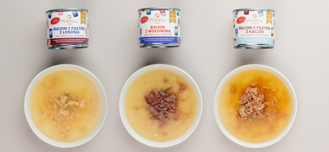PERRO PERROland Soups Broth with salmon fillet Mono - pamlsek pro psy a kočky - 140 g - foto 4