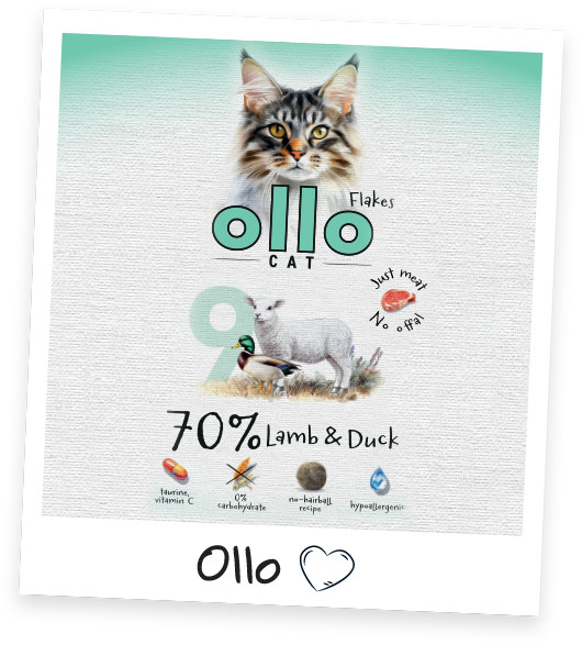 OLLO Cat No. 9 Lamb and duck - mokré krmivo pro kočky - 85g - foto 7