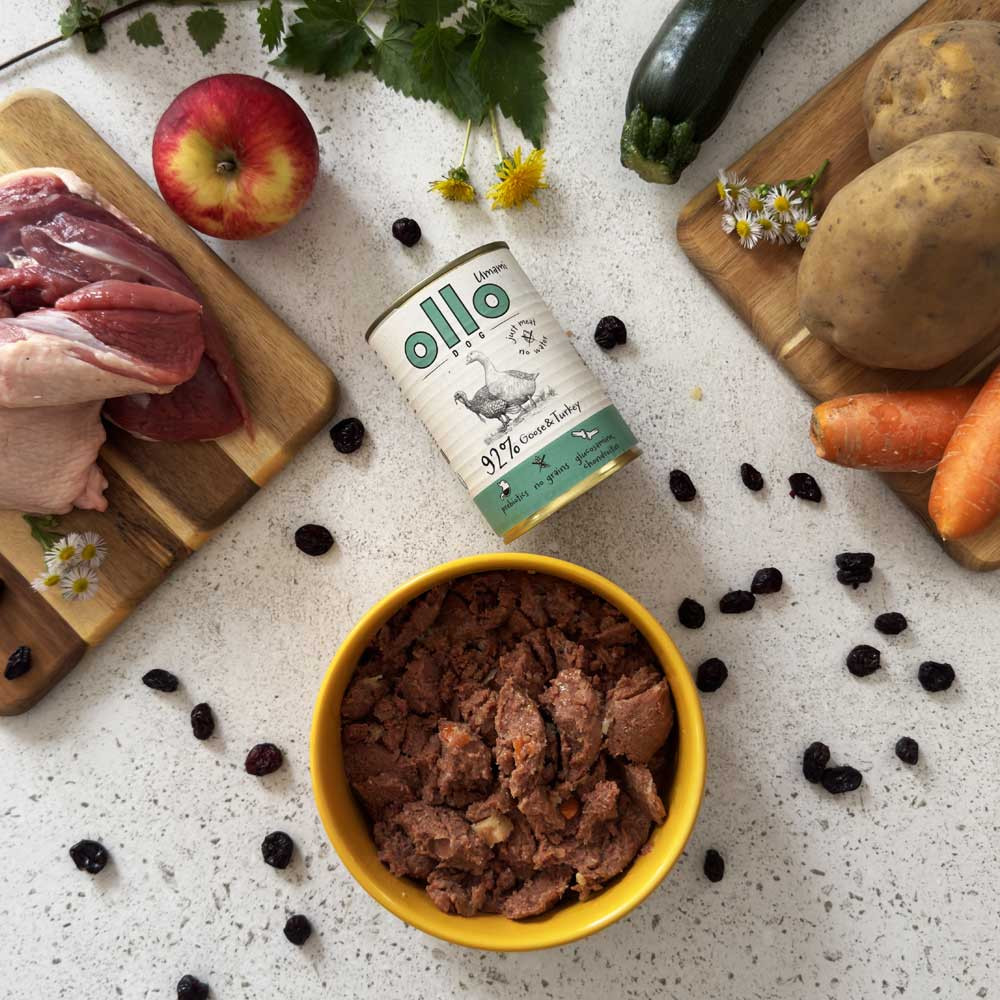 OLLO Umami Goose and turkey - vlhké krmivo pro psy - 850g - foto 2