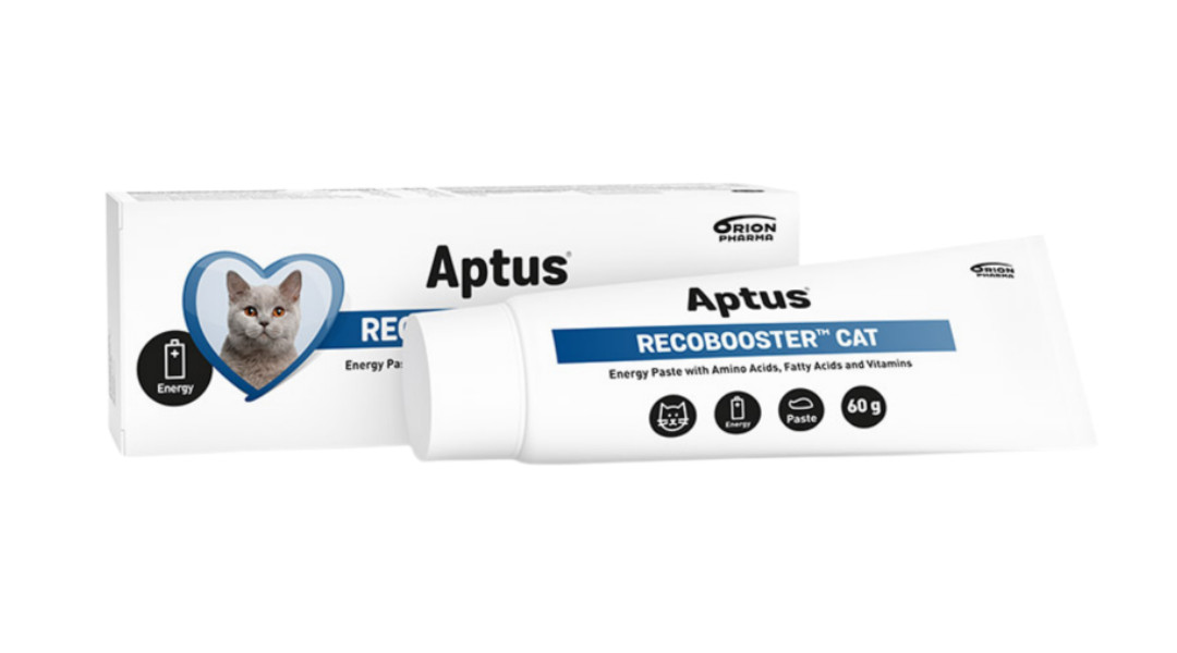 APTUS Recobooster Nutrition and appetite - doplňky pro kočky – 60g - foto 1