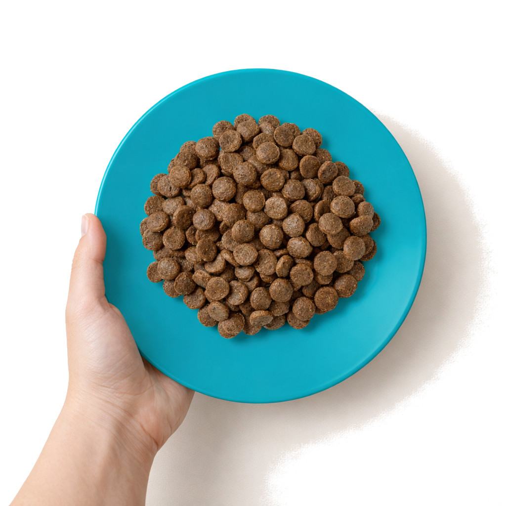 APPLAWS Ocean fish with salmon- suché krmivo pro kočky - 6kg - foto 2