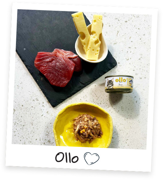 OLLO Cat nr 10 Tuna & Cheese in broth - mokré krmivo pro kočky - 70g - foto 2