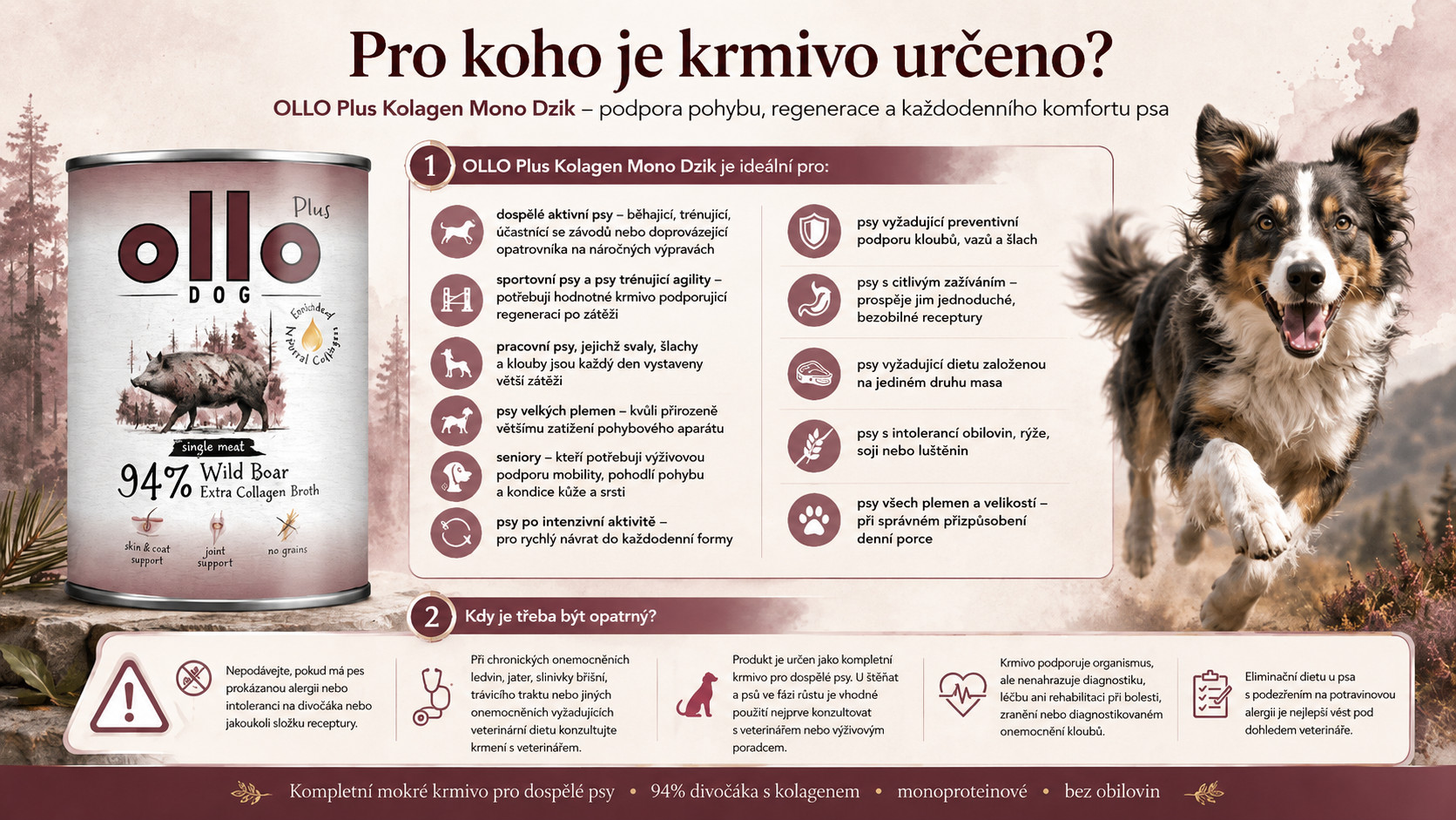 OLLO Plus Collagen Mono Wild boar - vlhké krmivo pro psy - 800g - foto 5