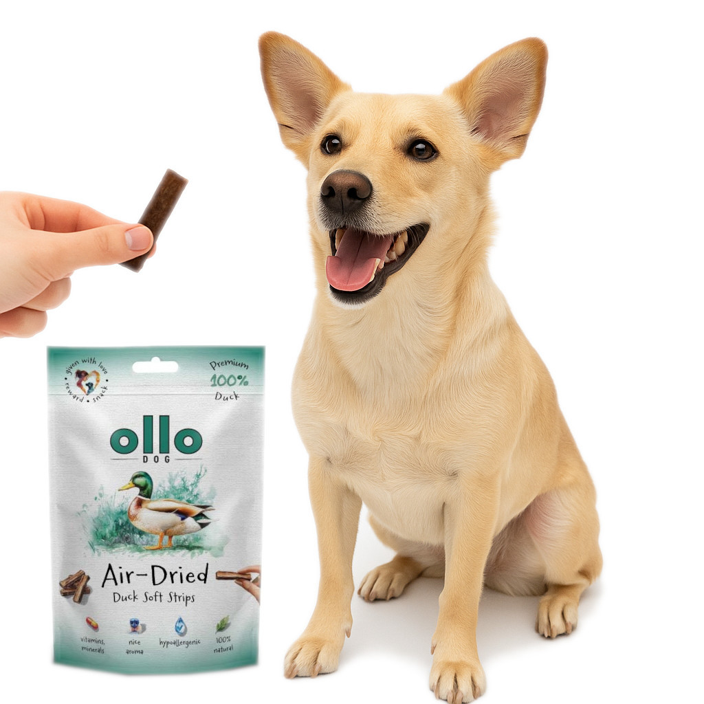 OLLO Air-Dried Duck strips - pamlsek pro psa - 80g - foto 4