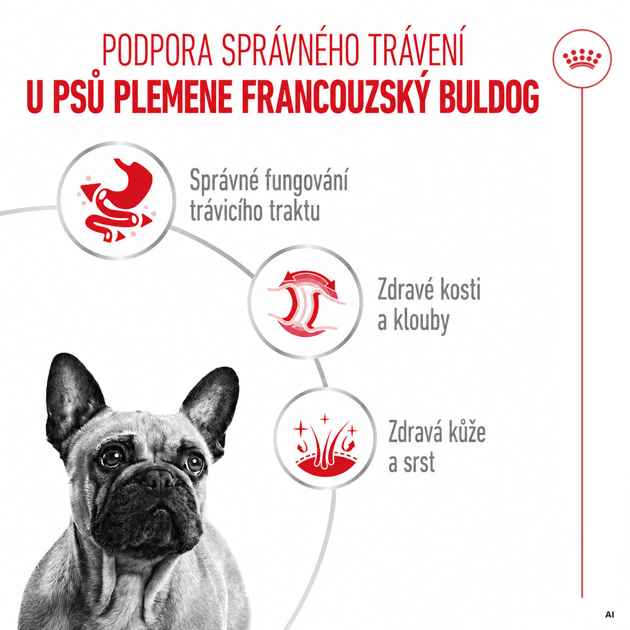 ROYAL CANIN® French Bulldog Adult mokré krmivo, paštika pro dospělé psy plemene francouzský buldoček - foto 1