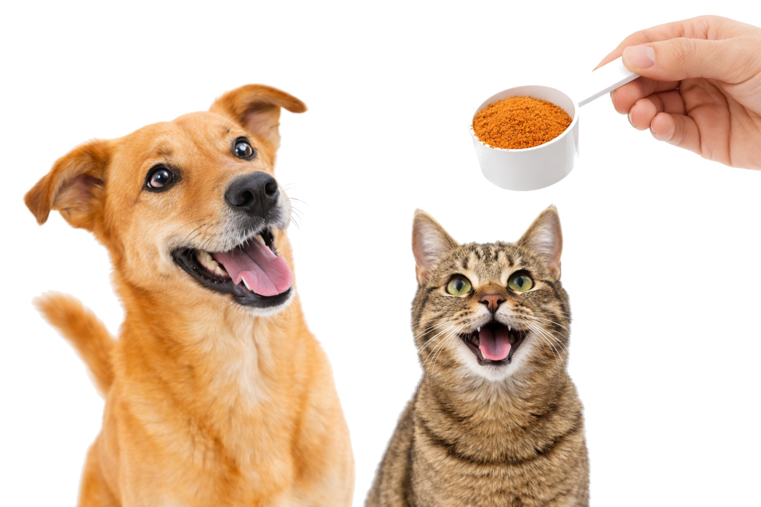 POKUSA RawDietLine Krill - doplňky stravy pro psy a kočky - 700g - foto 5