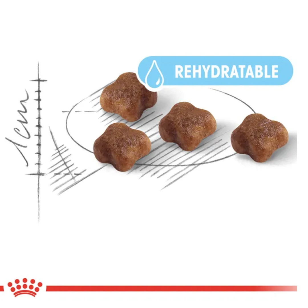 Royal Canin Mother & Babycat suché krmivo pro kočky 2 kg - foto 2